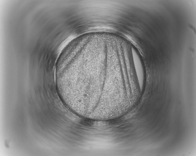 X0000100191275200806271610