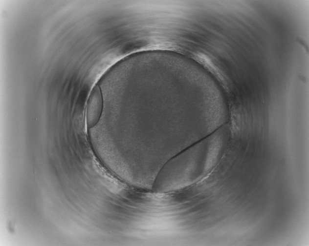 X0000100191276200806271610
