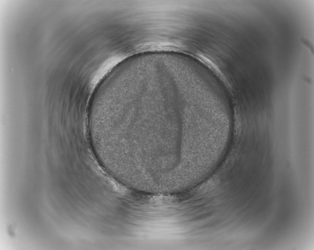X0000100191277200806271610