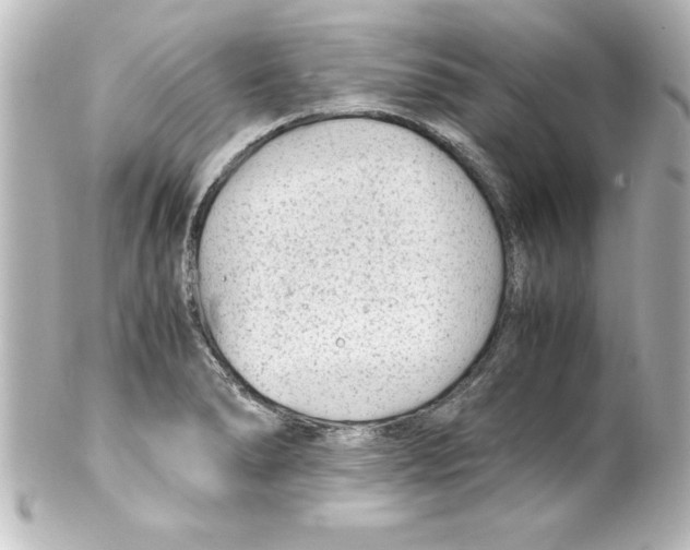 X0000100191278200806271610