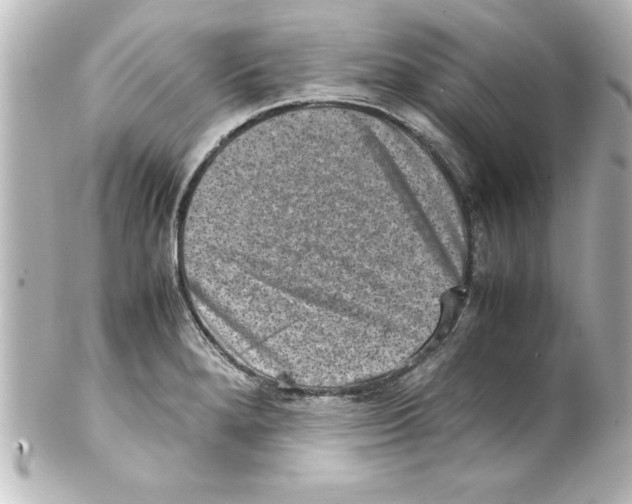 X0000100191280200806271610