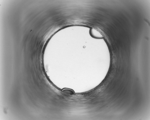 X0000100191285200806271610