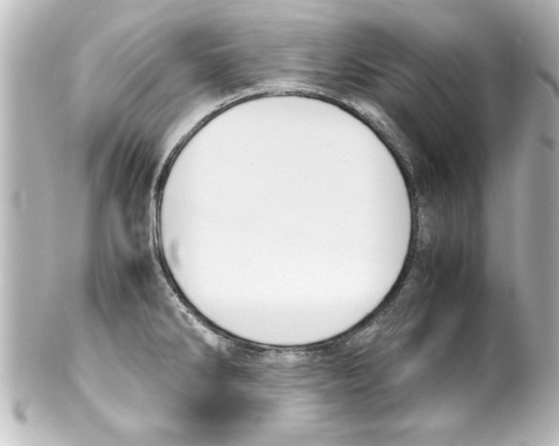 X0000100191286200806271610