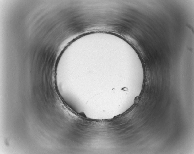 X0000100191288200806271610