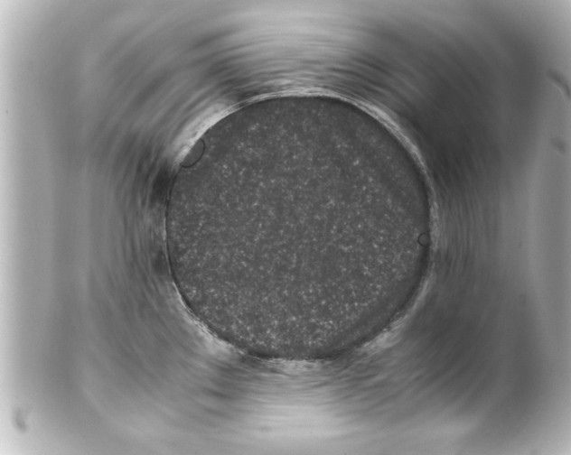 X0000100191289200806271610