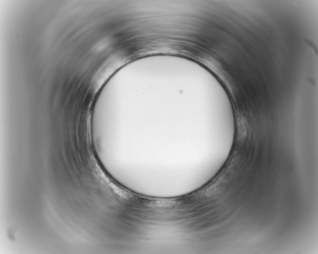 X0000100191290200806271610