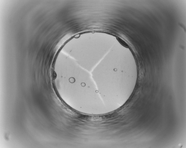 X0000100191291200806271610