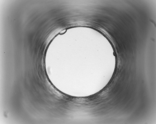 X0000100191293200806271610