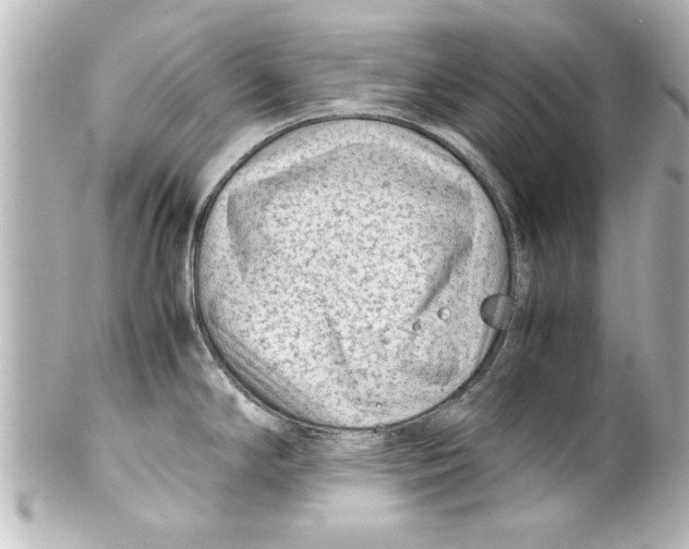 X0000100191294200806271610