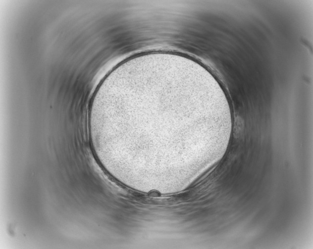 X0000100191295200806271609