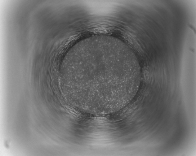 X0000100191297200806271609