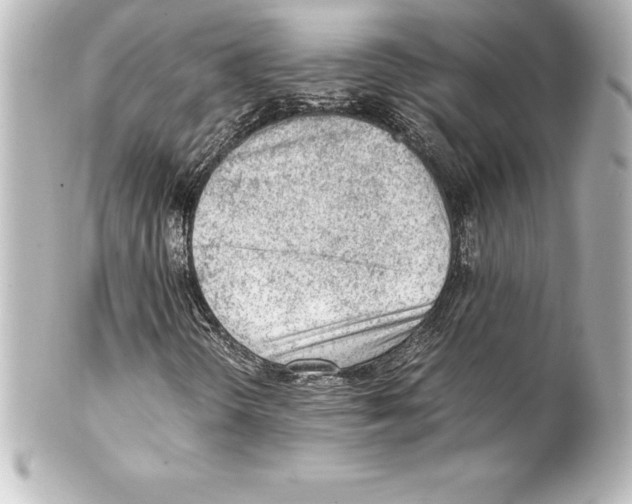 X0000100191298200806271609