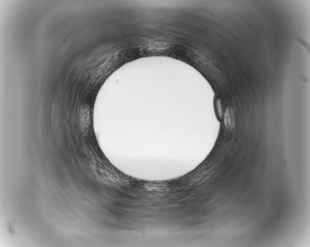 X0000100191299200806271609