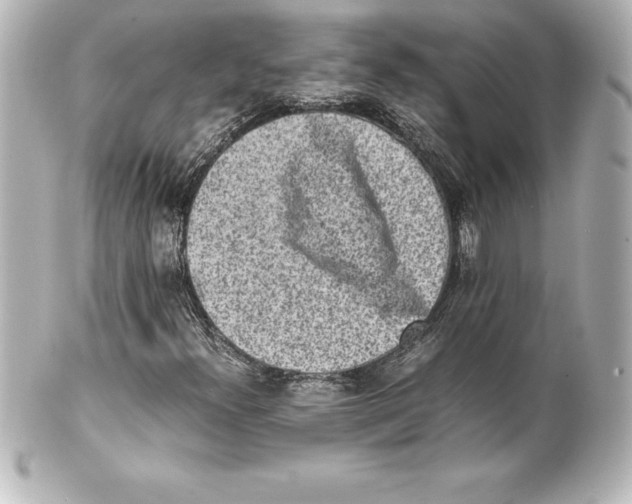 X0000100191300200806271609