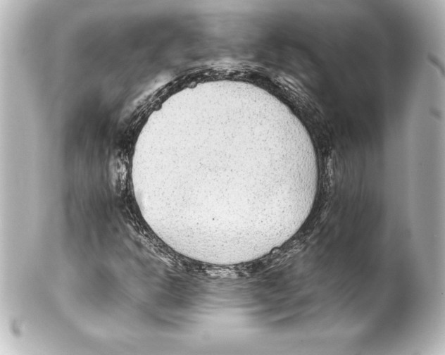 X0000100191302200806271609