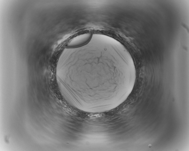 X0000100191303200806271609