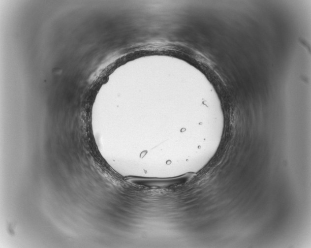 X0000100191304200806271609