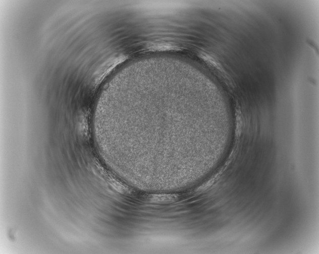 X0000100191305200806271609