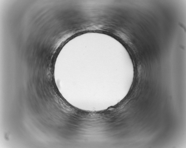 X0000100191308200806271609