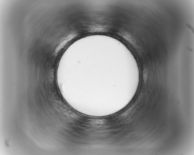 X0000100191309200806271609