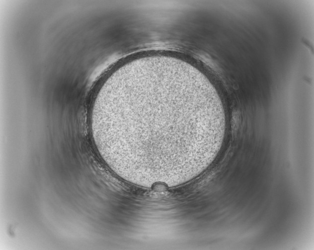 X0000100191310200806271609