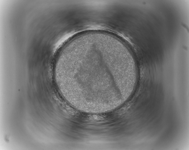 X0000100191311200806271609