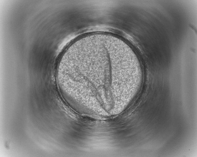 X0000100191312200806271609