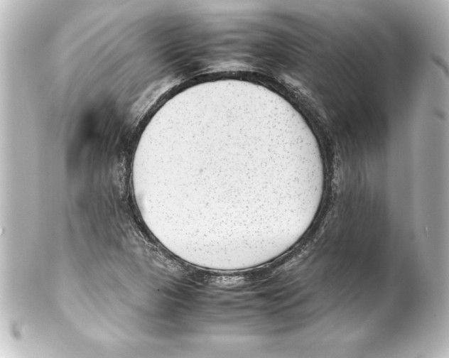 X0000100191313200806271609