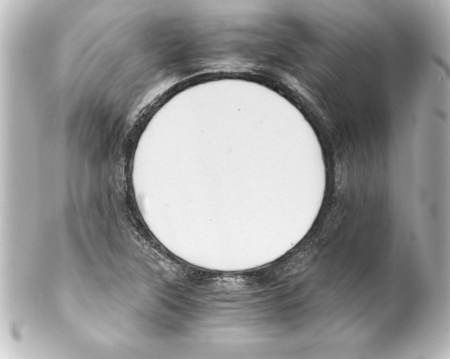 X0000100191315200806271609