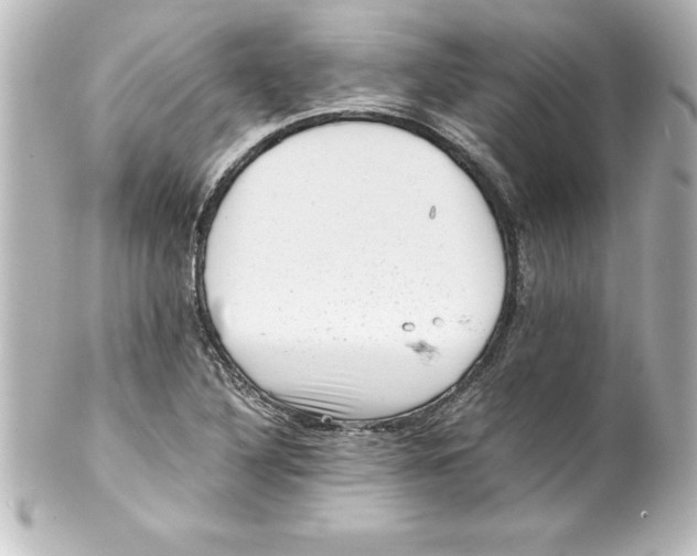 X0000100191316200806271609
