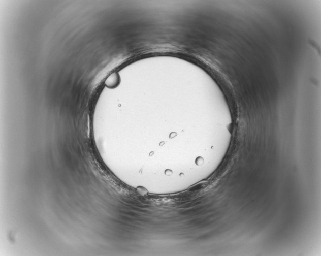 X0000100191317200806271609