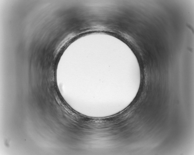 X0000100191318200806271609