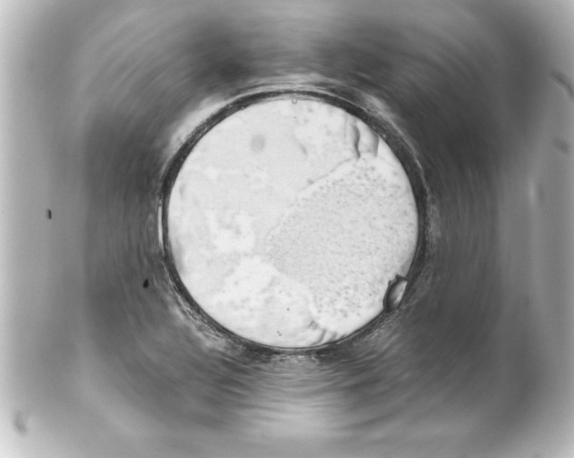 X0000100191320200806271609