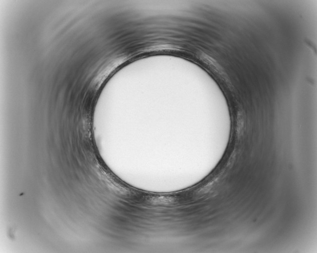 X0000100191321200806271609