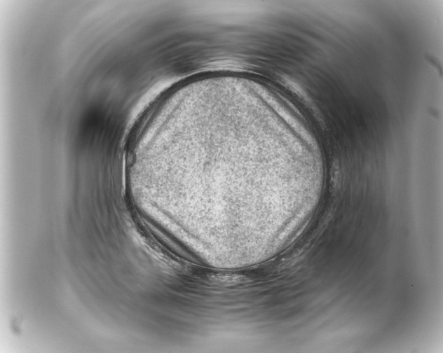 X0000100191323200806271609