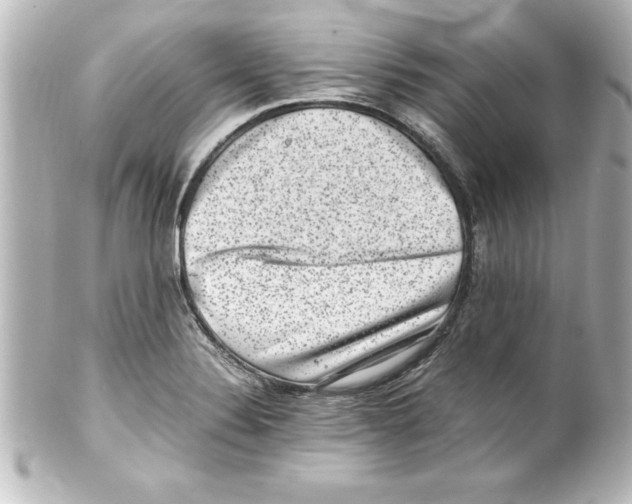 X0000100191324200806271609