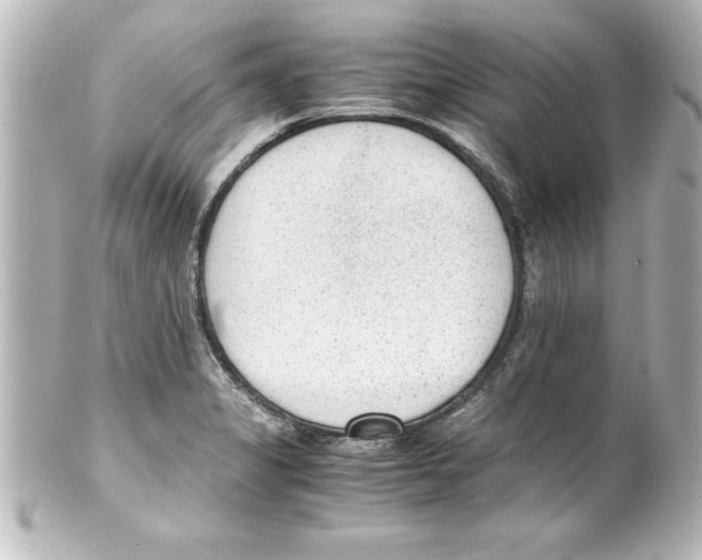 X0000100191325200806271609