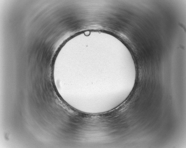 X0000100191326200806271609