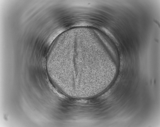 X0000100191329200806271609