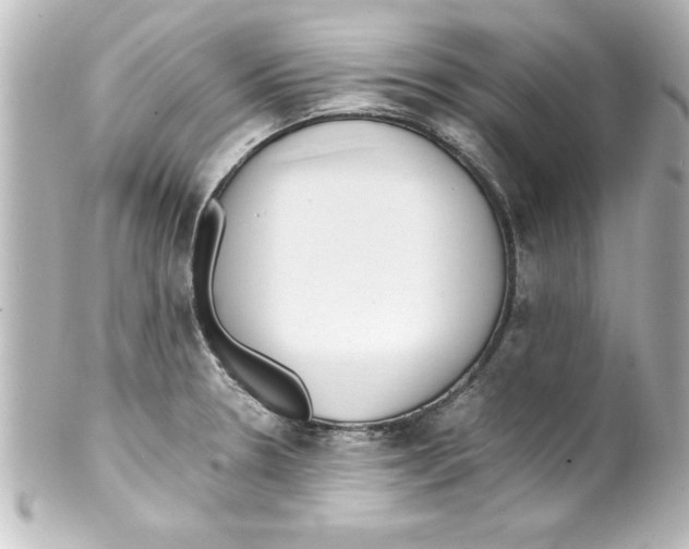 X0000100191330200806271609