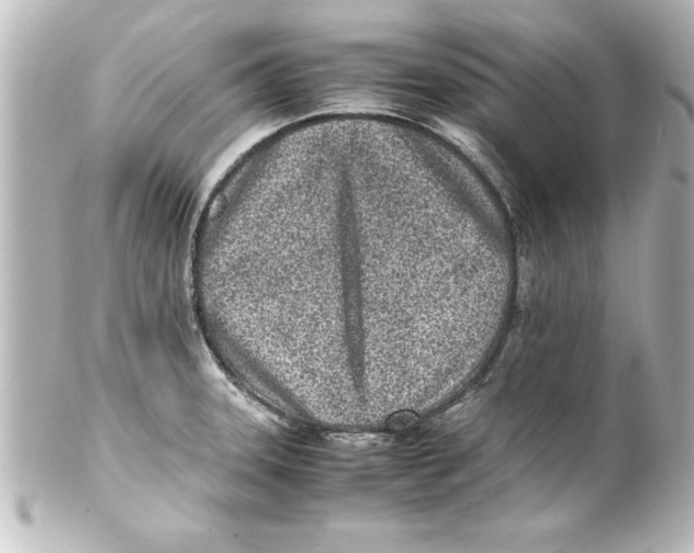 X0000100191331200806271609