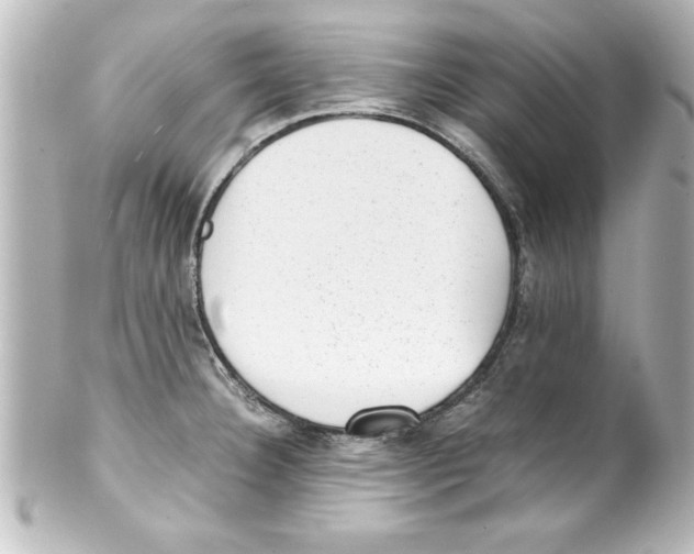 X0000100191332200806271609