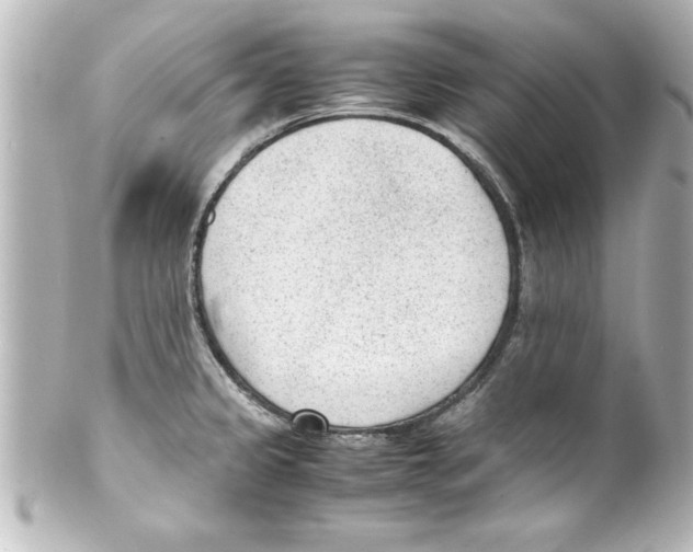 X0000100191333200806271609