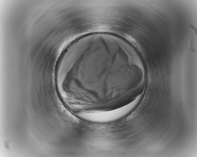 X0000100191334200806271609
