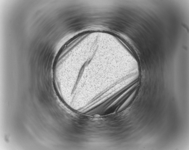 X0000100191335200806271609