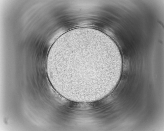 X0000100191338200806271609