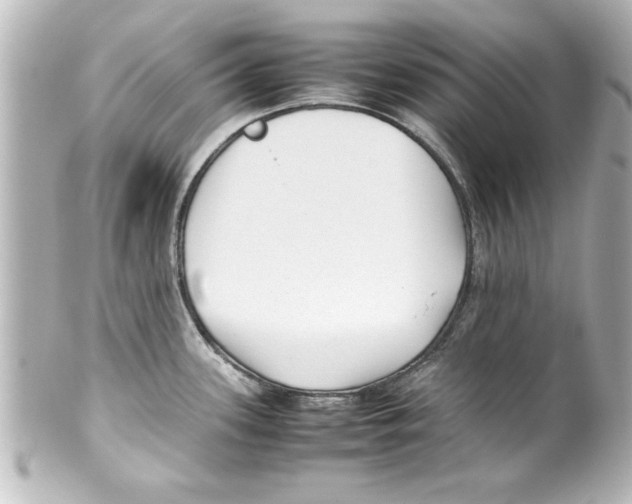 X0000100191339200806271609
