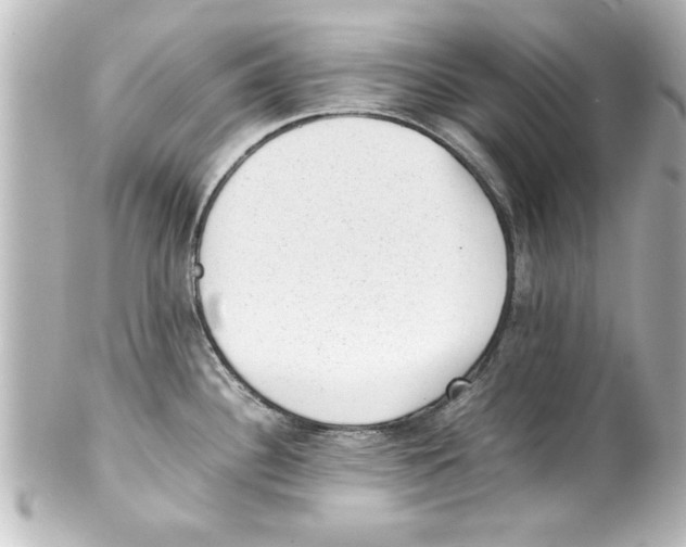 X0000100191340200806271609