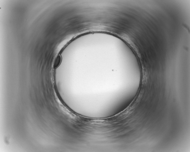 X0000100191342200806271609