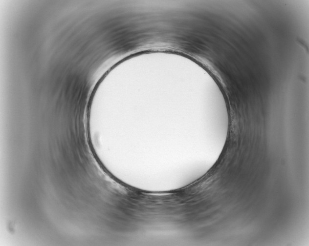 X0000100191343200806271609